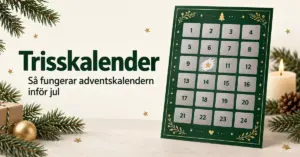Illustration av en grön adventskalender med 24 skrapfält, omgiven av granris och juldekorationer, med texten ”Trisskalender – Så fungerar adventskalendern inför jul”.
